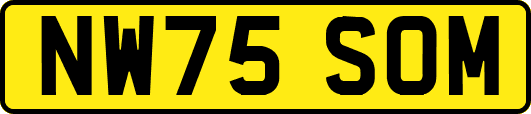 NW75SOM