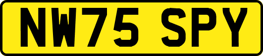 NW75SPY