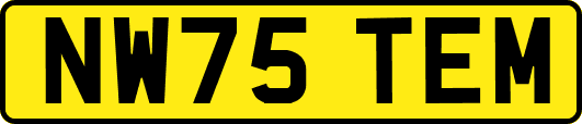 NW75TEM