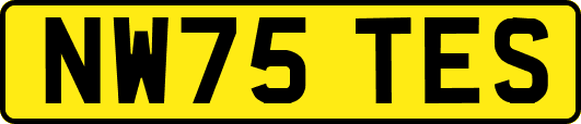NW75TES