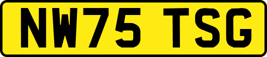 NW75TSG