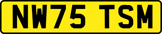 NW75TSM
