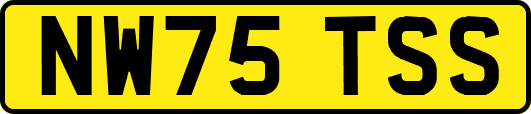 NW75TSS