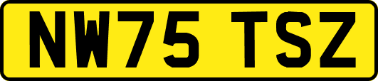 NW75TSZ