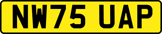 NW75UAP