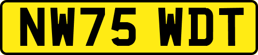 NW75WDT