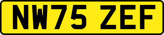NW75ZEF