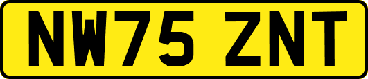 NW75ZNT