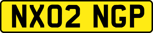 NX02NGP