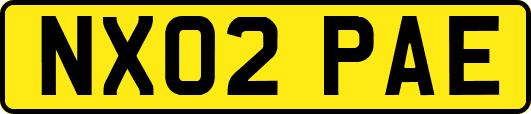 NX02PAE