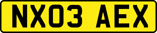 NX03AEX
