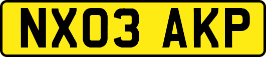 NX03AKP