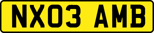 NX03AMB