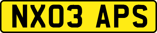 NX03APS