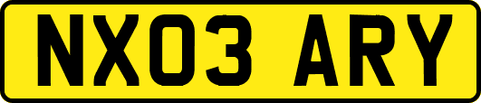 NX03ARY