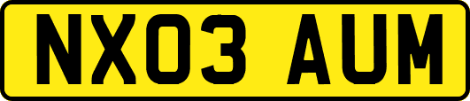NX03AUM