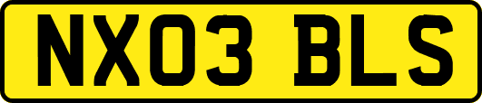 NX03BLS