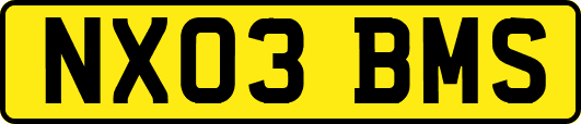 NX03BMS