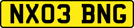 NX03BNG