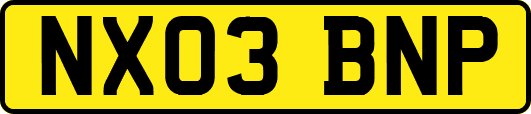 NX03BNP