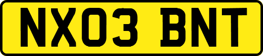 NX03BNT