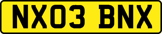 NX03BNX
