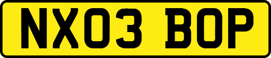 NX03BOP