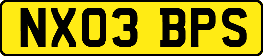 NX03BPS