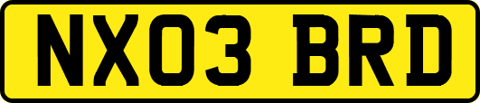 NX03BRD