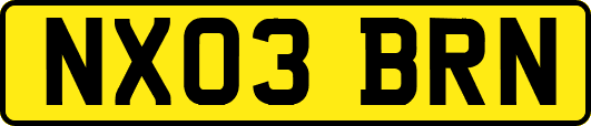 NX03BRN