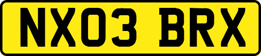 NX03BRX
