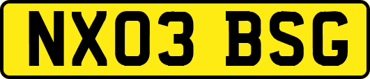 NX03BSG