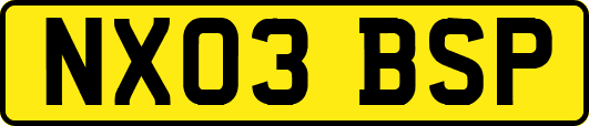 NX03BSP