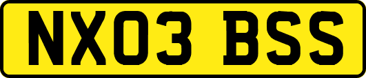 NX03BSS
