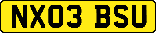 NX03BSU