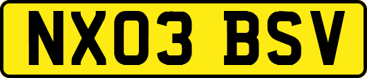 NX03BSV