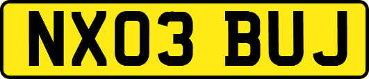 NX03BUJ