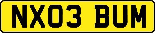 NX03BUM