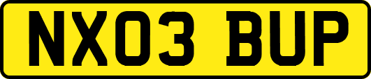 NX03BUP