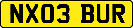 NX03BUR