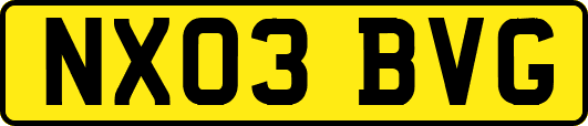NX03BVG