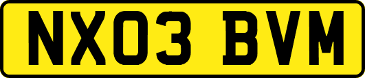 NX03BVM