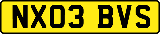 NX03BVS