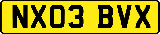 NX03BVX