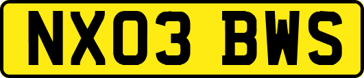 NX03BWS