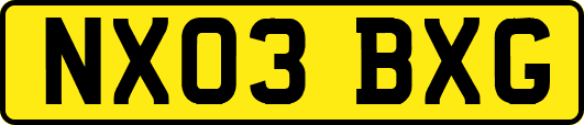 NX03BXG