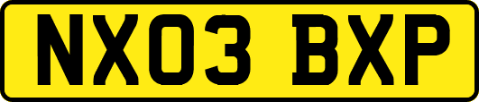 NX03BXP