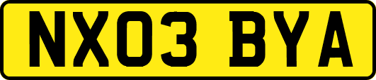 NX03BYA
