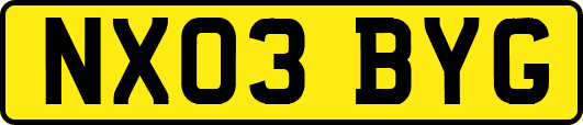 NX03BYG