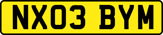 NX03BYM